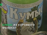 "Кумыс из коровьего молока?" Видеосюжет от 21.09.2020